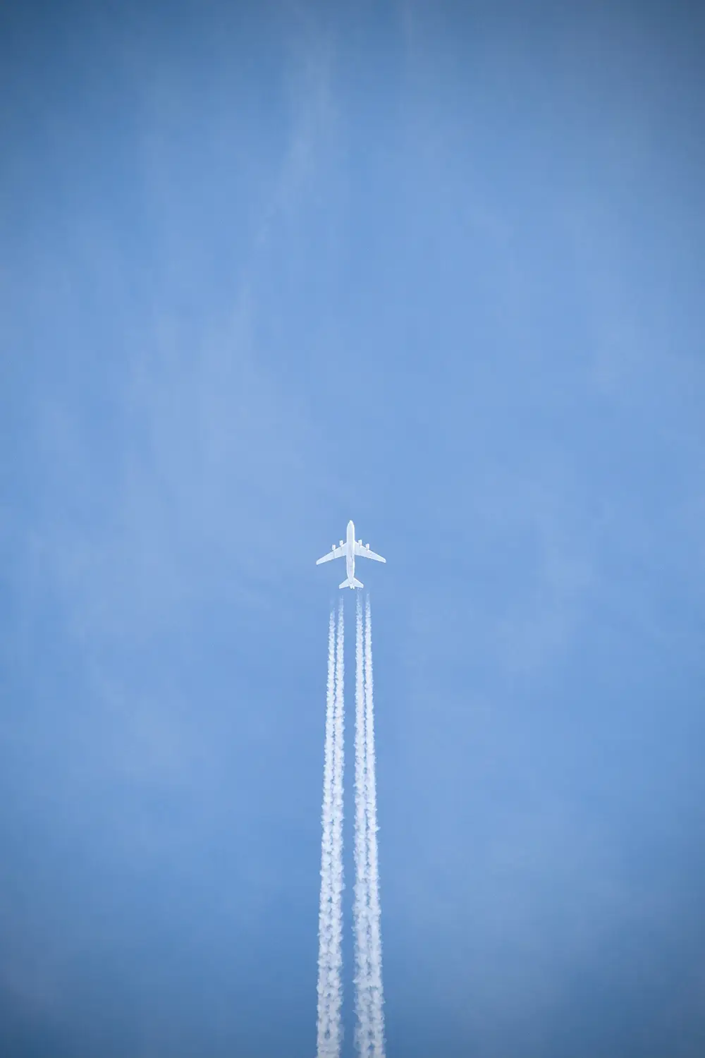 flight